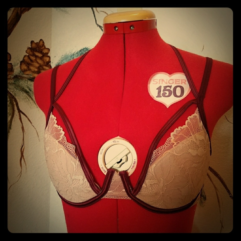 Bluebella astantine bra